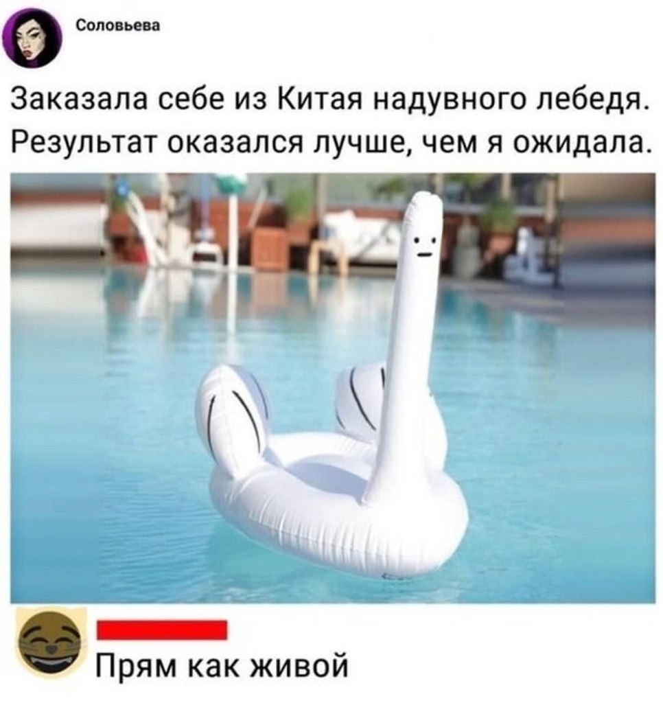   - 19  2025  15:08