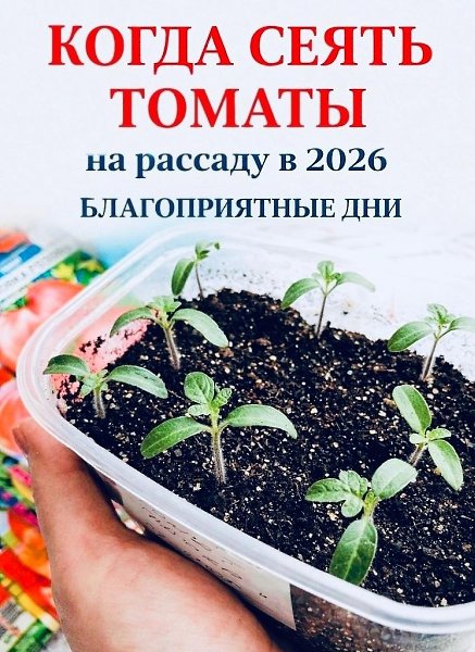���-2026:�������,�������������������? ...