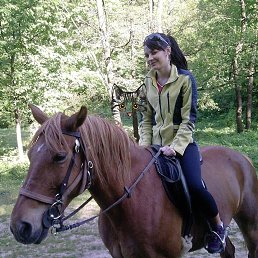 ���� �����, ����� - ��������� 6 ������ 2026