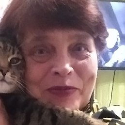 �����, ���������, 56 ���