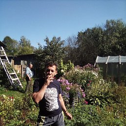 �������, 54 ����, ���������