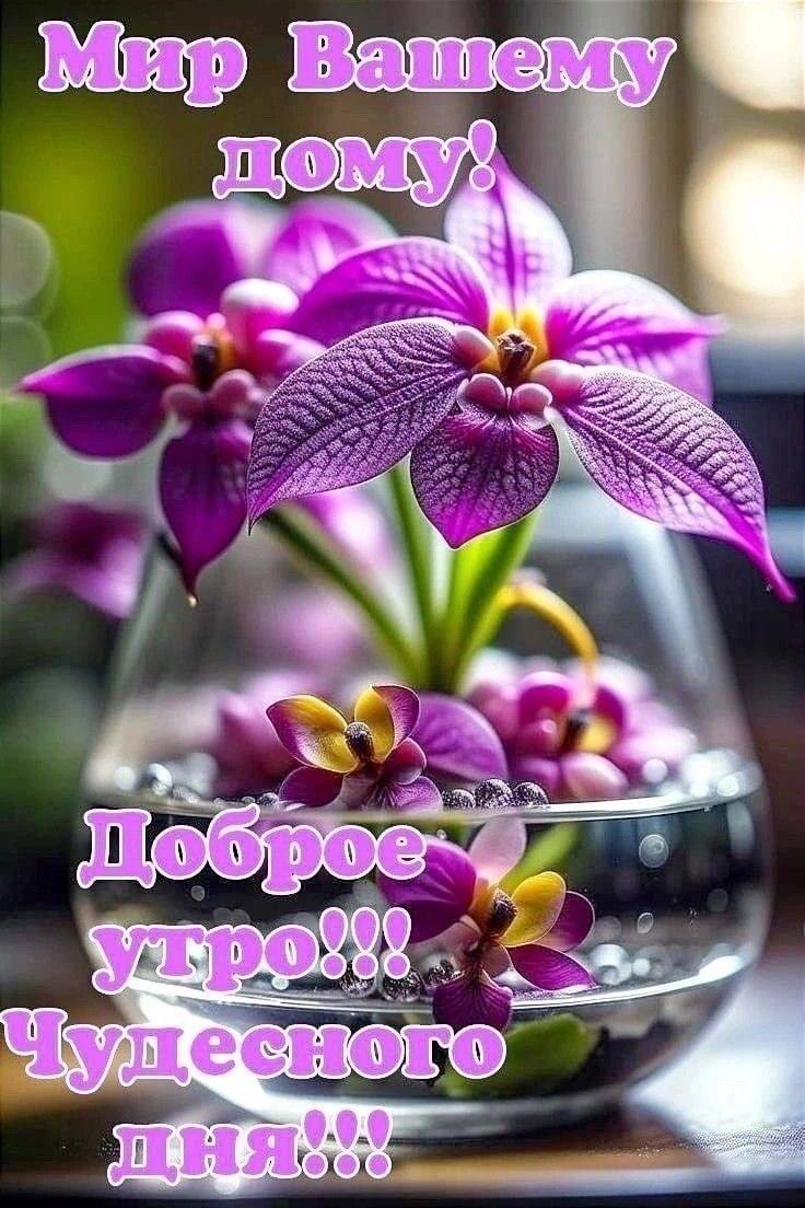 ������� - 3 ������ 2025 � 08:31