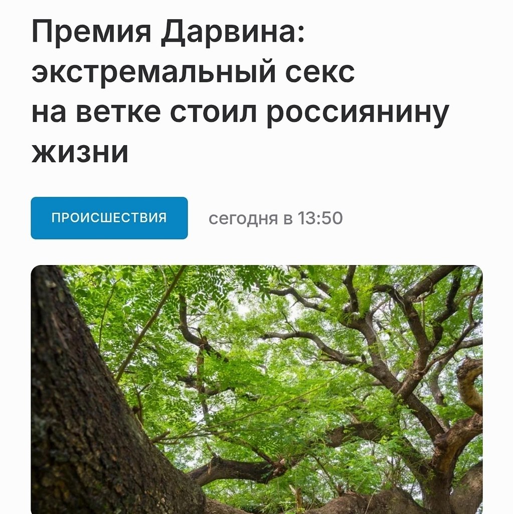 � ������ ���� ������ �������� ������ �� ����� ����, �� ����������� ���������� ���������. � ����� ... - 2