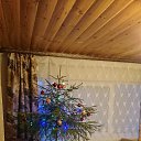 ���� ��������, �����-���������, 52 ���� - ��������� 5 ������ 2025 � ������ ���� ����������
