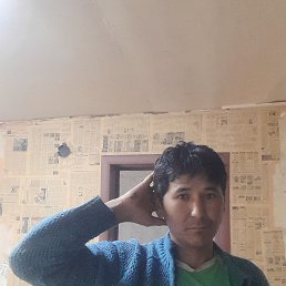 , 38, 