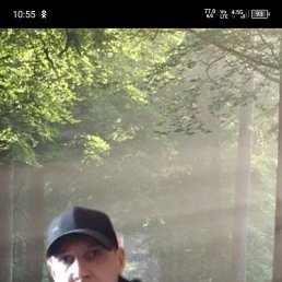 , 40, 