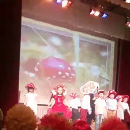 �������, ���������, 78 ���