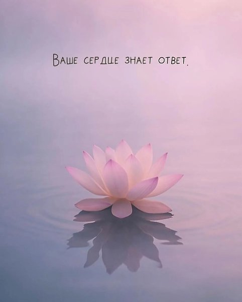 Эти мудрые фразы напоминают быть терпеливыми, принимать себя и наслаждаться процессом, а не только ... - 6