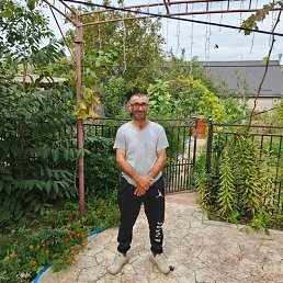 ���� �����, ������, 46 ��� - ��������� 18 ������ 2026