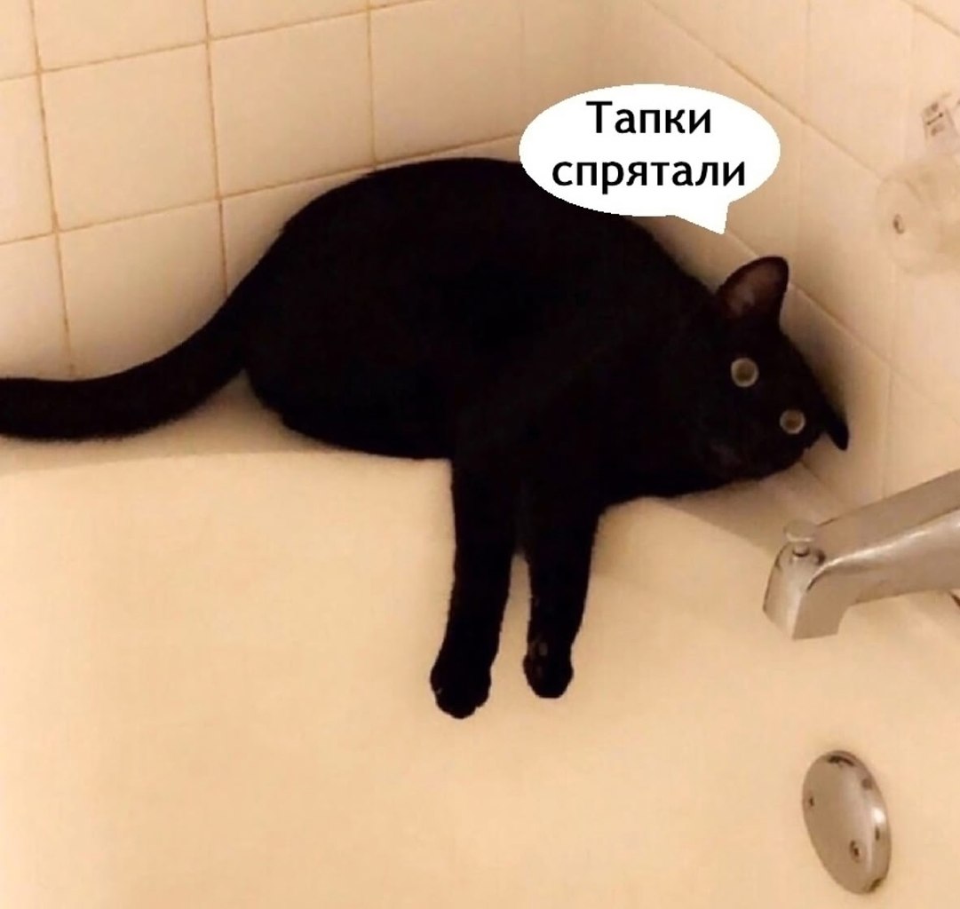 ���� - 18 �������� 2025 � 11:16 - 3
