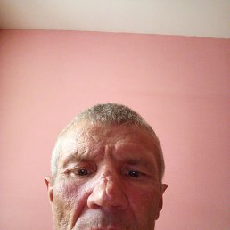 , 59, 