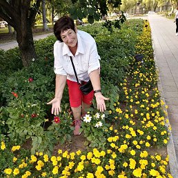 �������, ������������, 69 ���