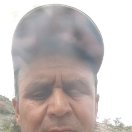 , 42, 