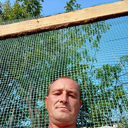 , 41, 