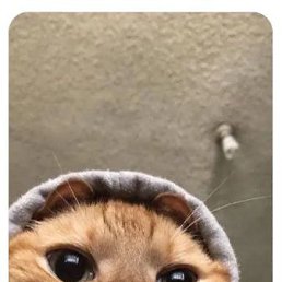 ���� �����, ������, 20 ��� - ��������� 21 ����� 2024