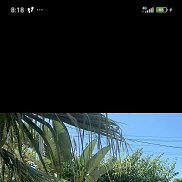 ������, 50 ���, �����