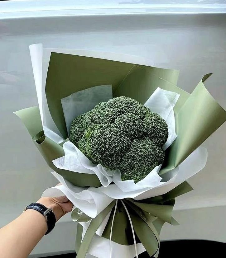 �����������y��� - 6