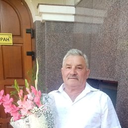, 61, 