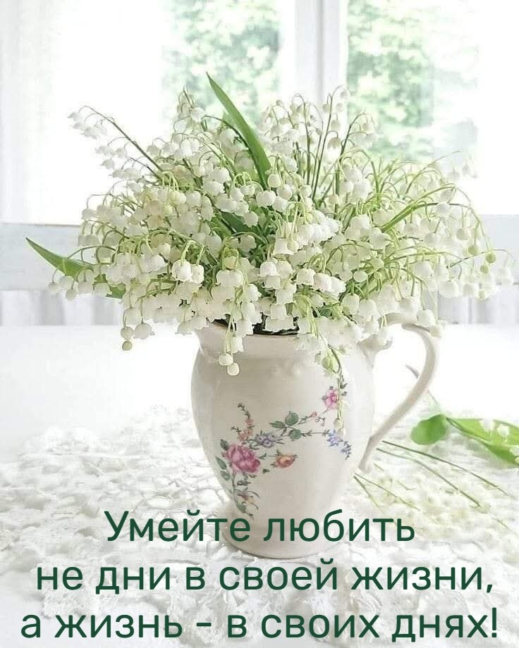 �������� ������ - 26 ������ 2026 � 13:32