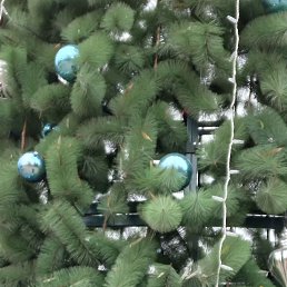 �����, 47 ���, ����