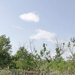 ���� �������� �����, ��������, 39 ��� - ��������� 20 ������� 2026