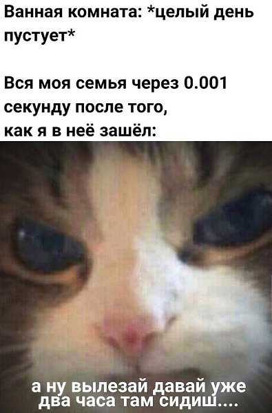    - 21  2024  00:38