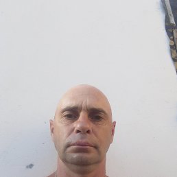 , 41 , 