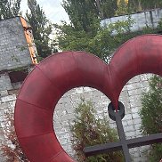 �����, 41 ���, �����