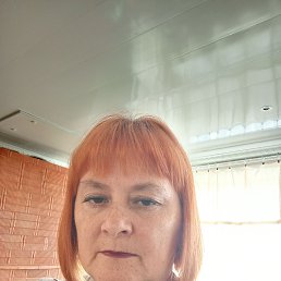  , 49, 