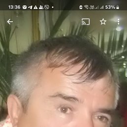 , 55 , 