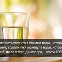 ���� �������, ���������, 73 ���� - ��������� 17 ������� 2025 � ������ ������ ��������