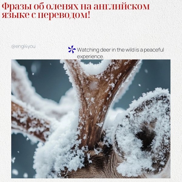 ��� ��������� ���� �� ������ � ��������� �� �������: 1. The deer gracefully leaped over the fallen ...