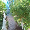 ���� Vera Ivanovna, ����� - ��������� 31 ������� 2026 � ������ ������ ��������