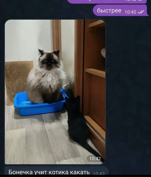 ��� ������������� ����� - 2