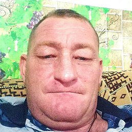 ���������, ���������, 41 ���