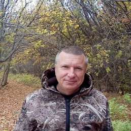 , 48, 