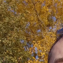 ���������, ����-�����������, 42 ����