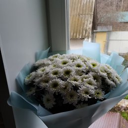 ��������, ������, 49 ���