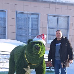 �����, ��������, 39 ���