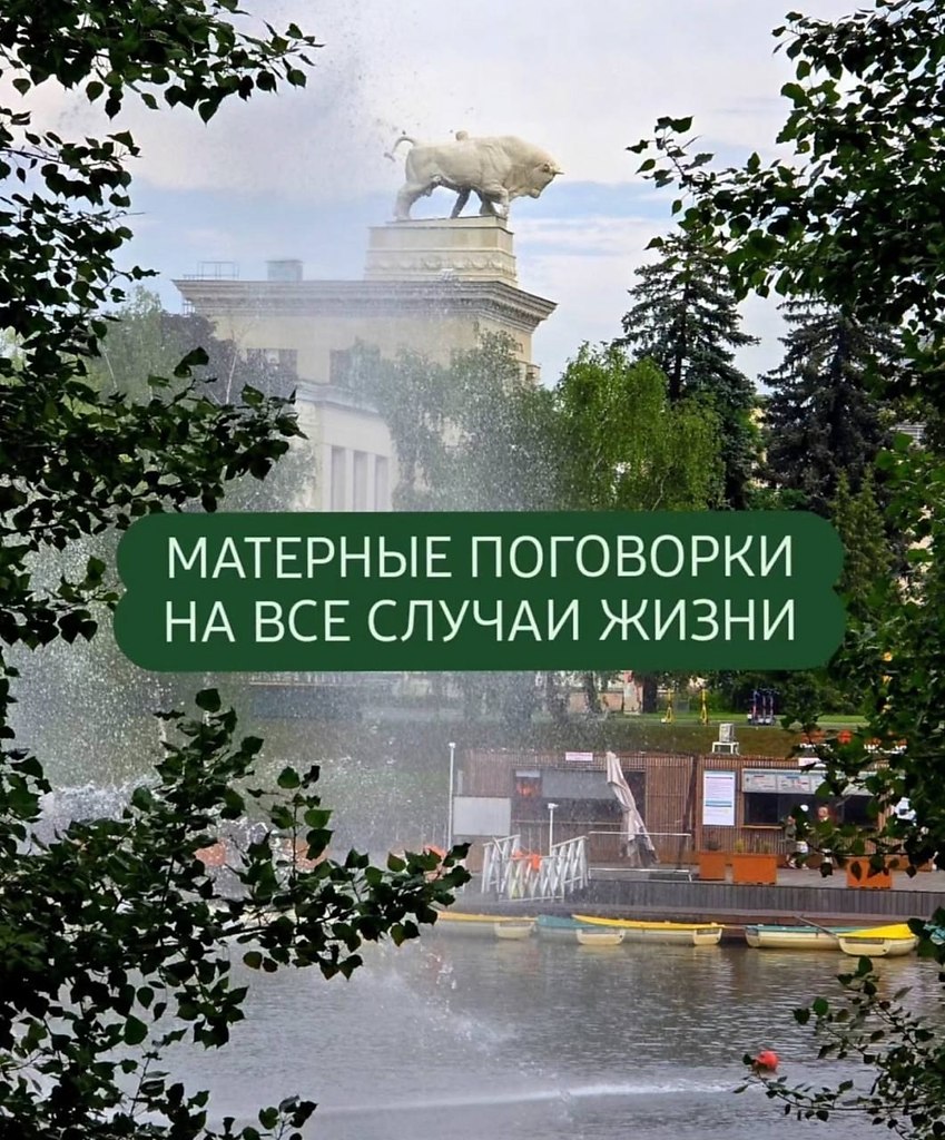 JPG - 31  2025  13:17