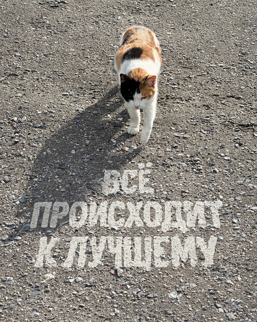 .�������. - 2 ������ 2025 � 02:05 - 3