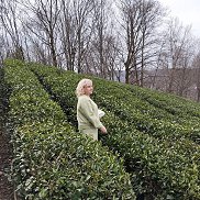 �����, , ���������