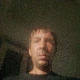 , 41, 