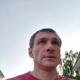 �����, 41 ���, �������