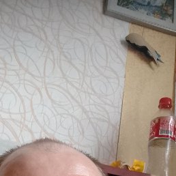 , 37, 