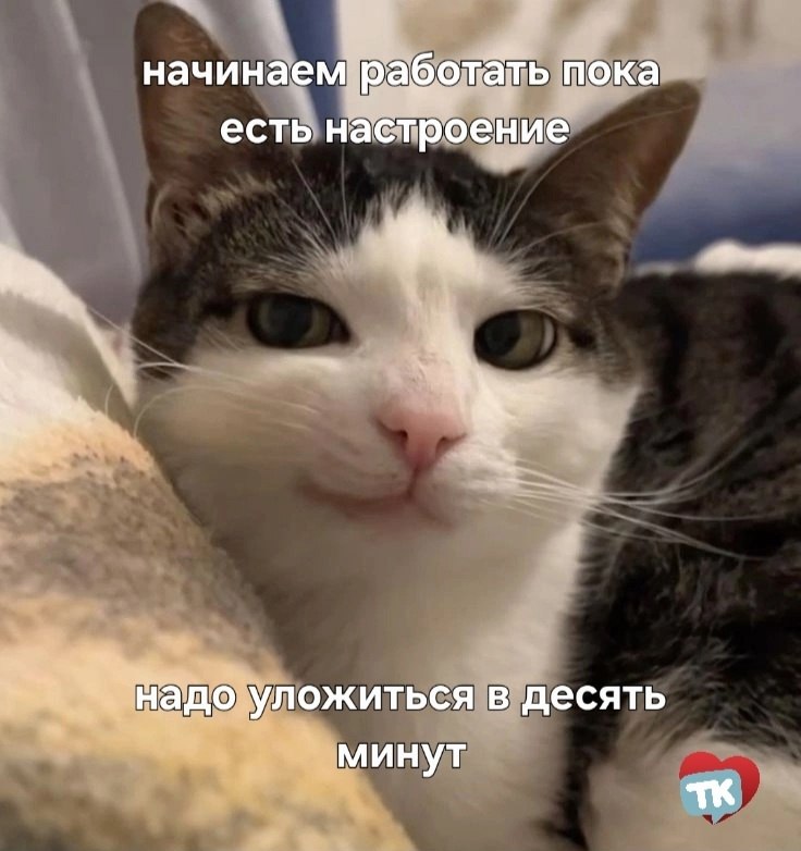   - 23  2025  09:09