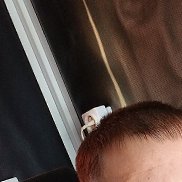 �������, 36 ���, ���������