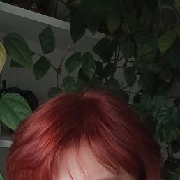 , 53, -