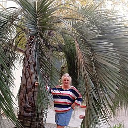 ������, ������, 61 ���