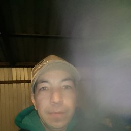 , 32, 
